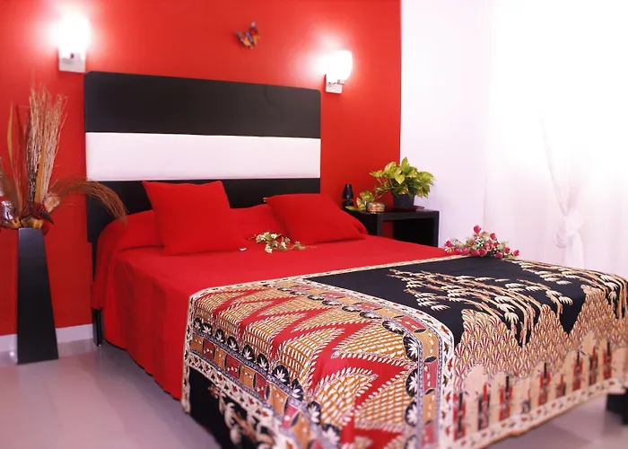 Maya Vacanze Playa Quinta Bed and breakfast